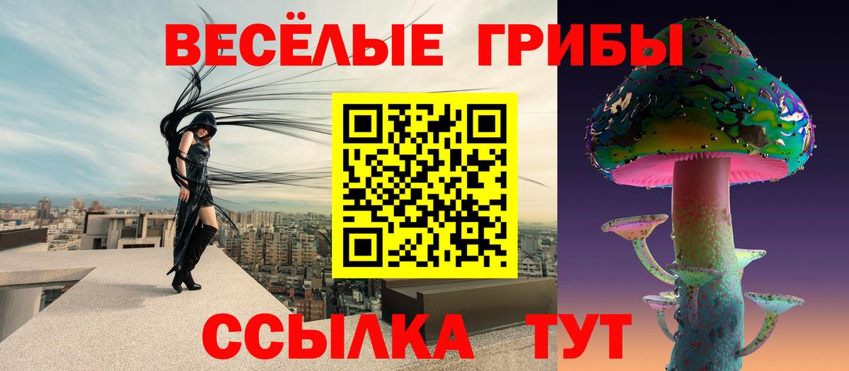 Галлюциногенные грибы Magic Shrooms  Галлюциногенные грибы GOLDEN TEACHER  Арзамас  Вход с VPN 